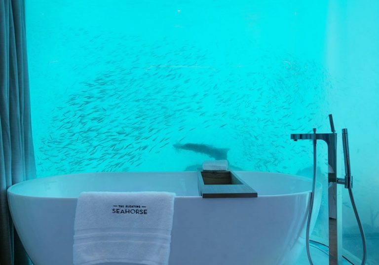 TFSH-IMAGE-1-13-1-1099x768