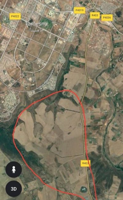 Webp.net-resizeimage (13)